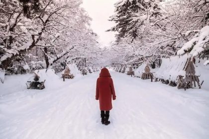 Traveling in Snow Country | What My Trip to Akita Taught Me 5 Hirosaki Castle Park Covered in Snow