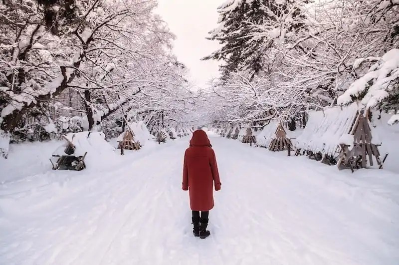 Traveling in Snow Country | What My Trip to Akita Taught Me 4 Hirosaki Castle Park Covered in Snow
