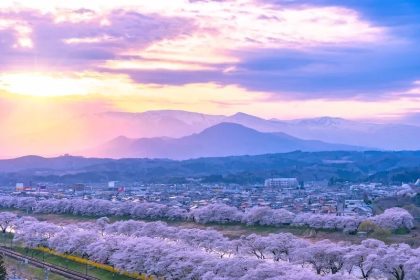 Pesona Hitome Senbonzakura dan Istana Funaoka: Keindahan Musim Semi di Miyagi 65 Mt. Zao the Hitome Senbonzakura