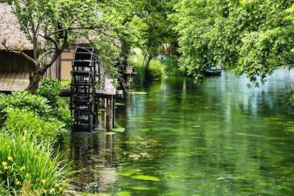 Pesona Nagano: Nikmati Alam, Sejarah, dan Pegunungan Alpen Jepang 10 The Azumino Wasabi Farm