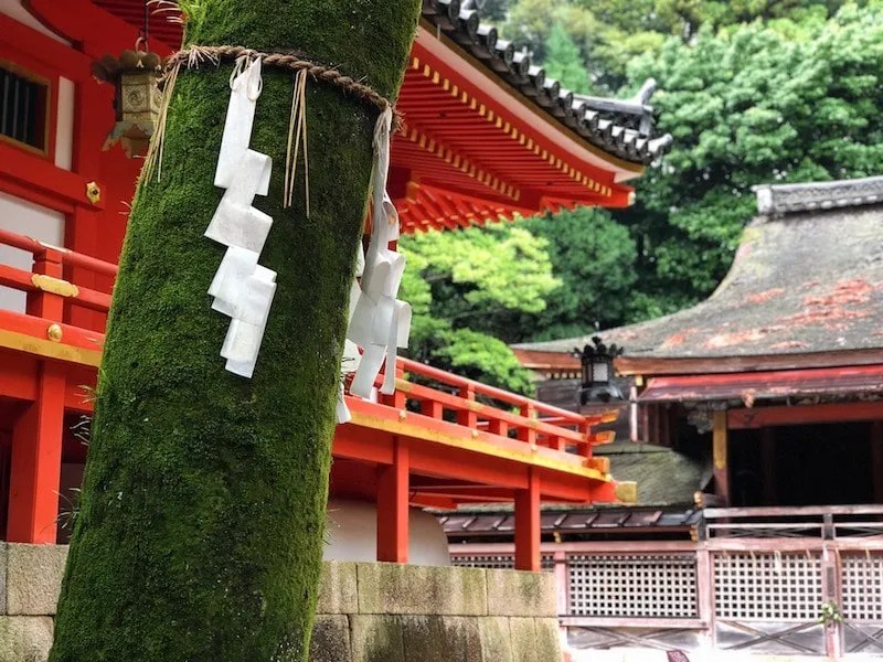 The Main Hall of Iwashimizu Hachimangu