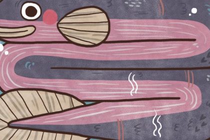 header 640x 40