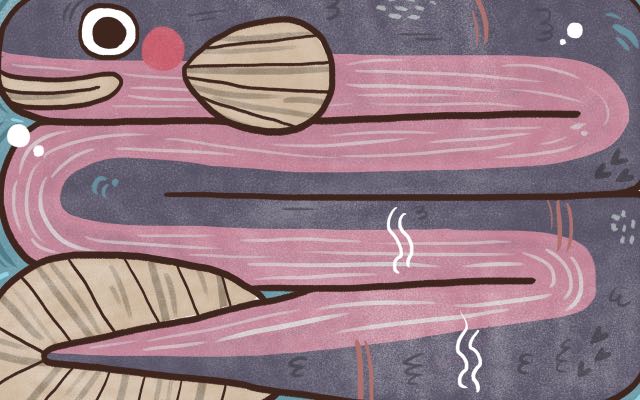Unagi: Lezat di Masa Lalu, Suram di Masa Depan – Nikmati Selagi Bisa 12 header 640x 40