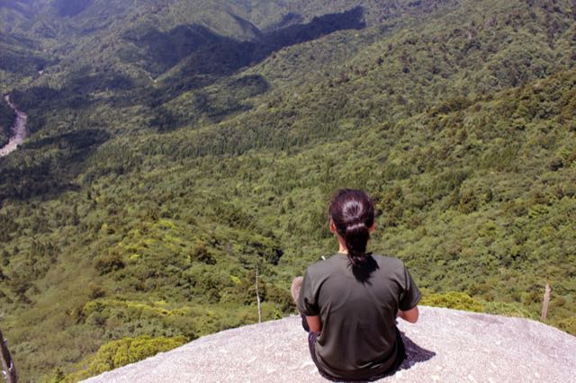 Yakushima: Shiratani Unsuikyo, Hutan yang Menginspirasi Princess Mononoke 18 header 640x 88