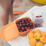 Can Dogs Eat Peaches? A Guide to Serving This Fruit Safely 3 Can Dogs Eat Peaches? A Guide to Serving This Fruit Safely