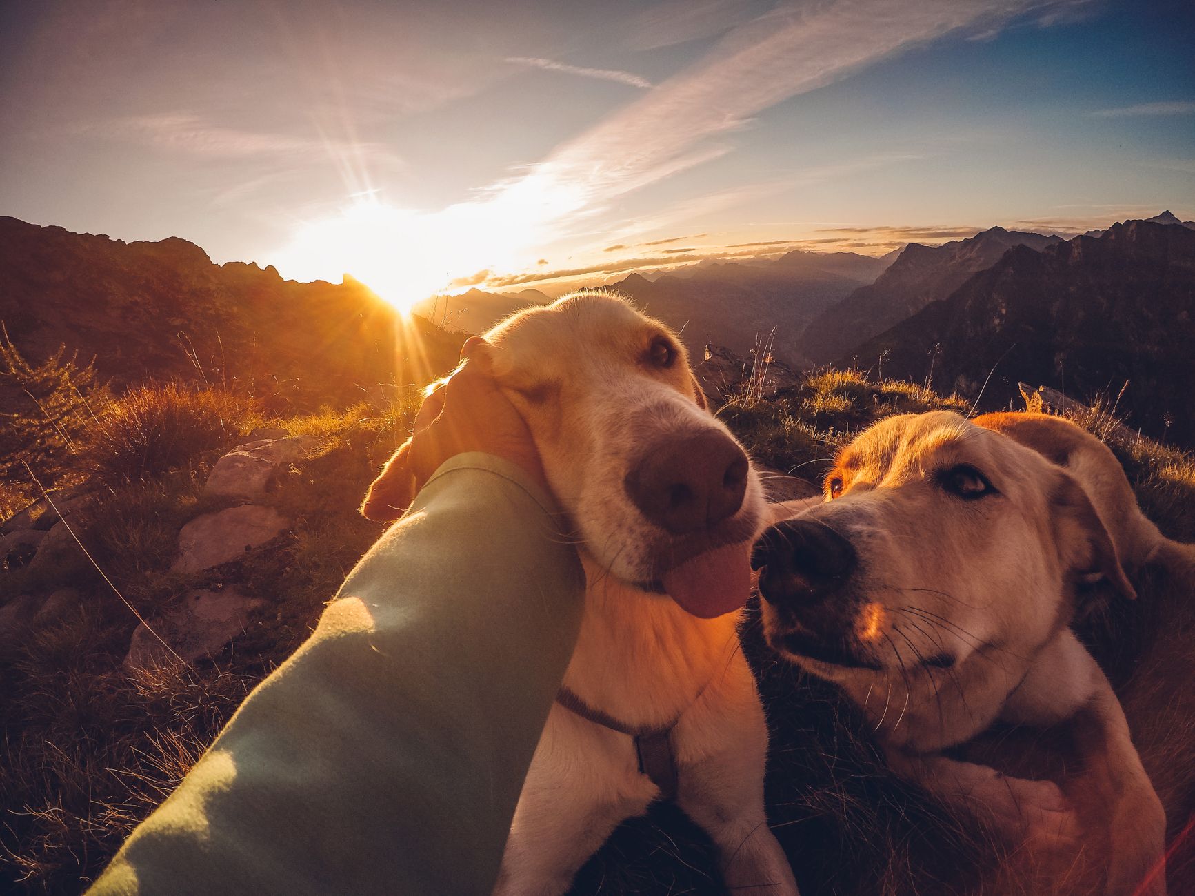 How Pets Can Improve Daily Life: The Physical, Emotional, and Social Benefits of Animal Companionship 1 How Pets Can Improve Daily Life: The Physical, Emotional, and Social Benefits of Animal Companionship