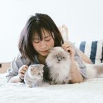 How Long Do Cats Live? Understanding Cat Lifespan and the Factors That Affect It