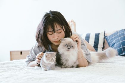How Long Do Cats Live? Understanding Cat Lifespan and the Factors That Affect It