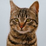 When Were Cats Domesticated? 3 When Were Cats Domesticated?