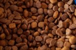 Dog Food Ingredients to Avoid: Understanding What Can Harm Your Dog’s Health 7 Dog Food Ingredients to Avoid: Understanding What Can Harm Your Dog’s Health