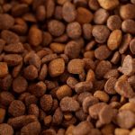 Dog Food Ingredients to Avoid: Understanding What Can Harm Your Dog’s Health 2 Dog Food Ingredients to Avoid: Understanding What Can Harm Your Dog’s Health