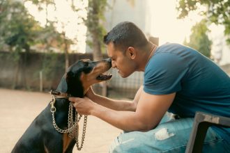 Why Dogs Form Such Strong Bonds With Humans: The Science Behind Canine Loyalty 5 Why Dogs Form Such Strong Bonds With Humans: The Science Behind Canine Loyalty