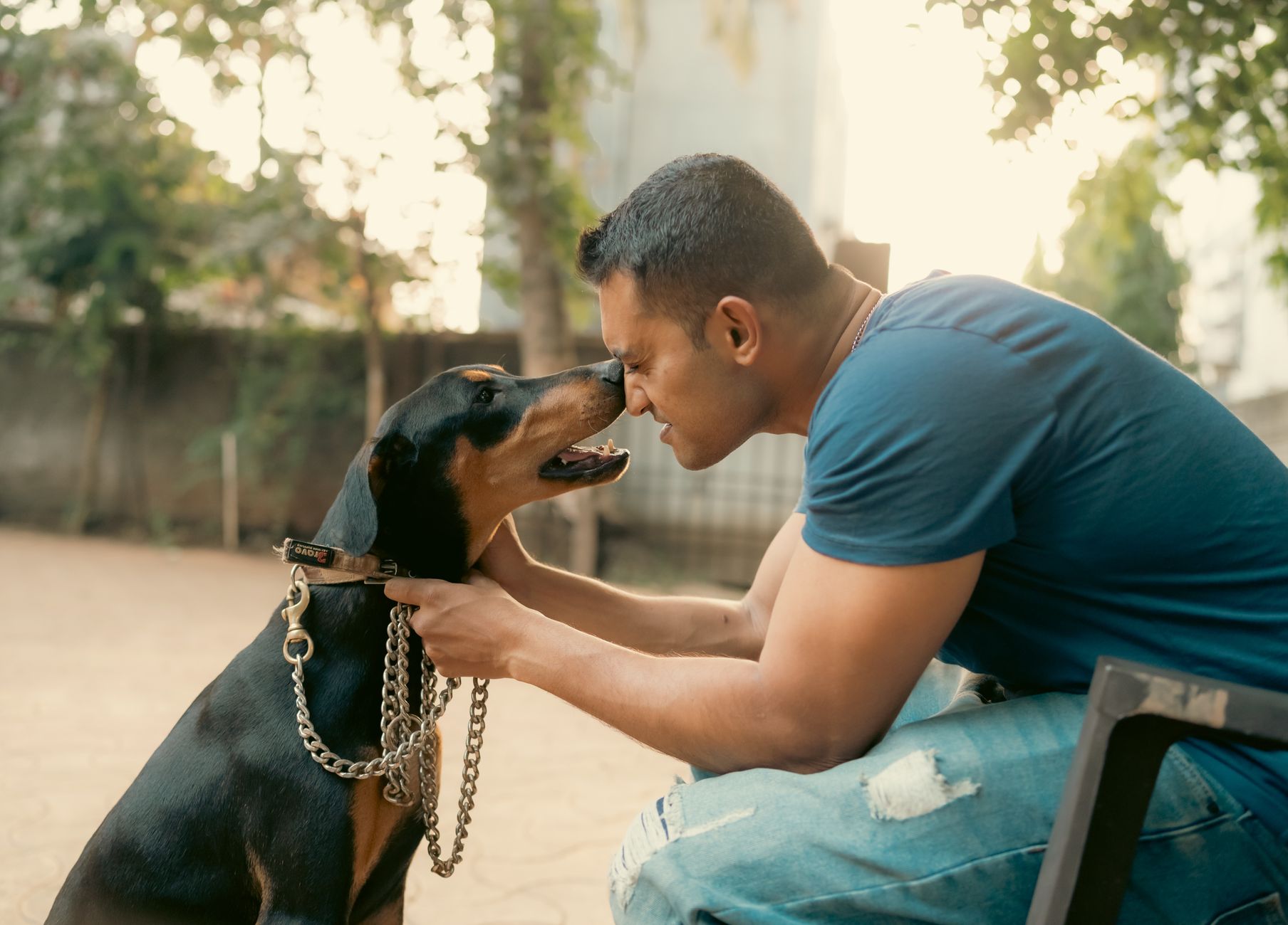 Why Dogs Form Such Strong Bonds With Humans: The Science Behind Canine Loyalty 18 Why Dogs Form Such Strong Bonds With Humans: The Science Behind Canine Loyalty