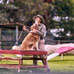 A Practical Guide to Training Your Dog to Bark Less 3 A Practical Guide to Training Your Dog to Bark Less