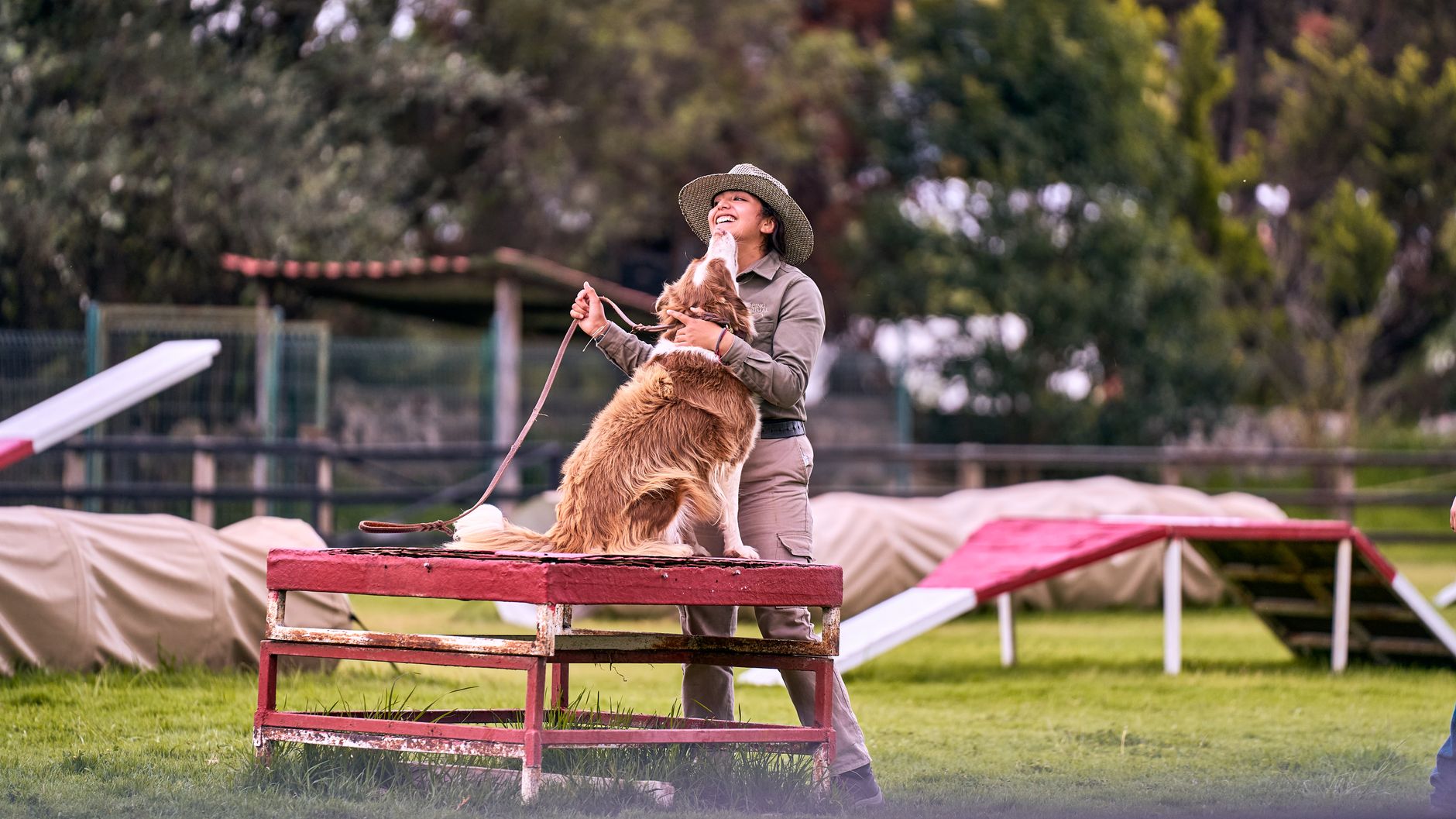 A Practical Guide to Training Your Dog to Bark Less