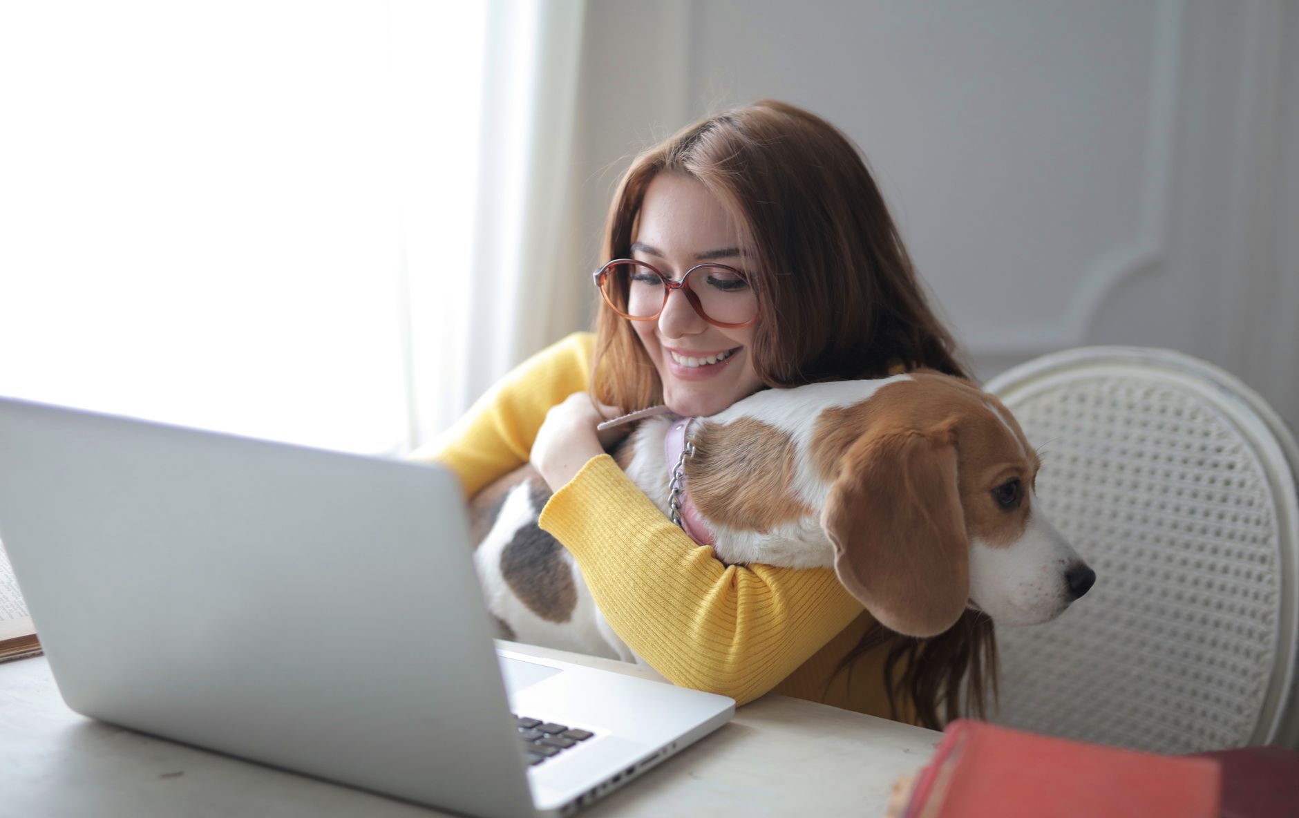 What Type of Dog Matches Your Lifestyle and Personality? 1 What Type of Dog Matches Your Lifestyle and Personality?