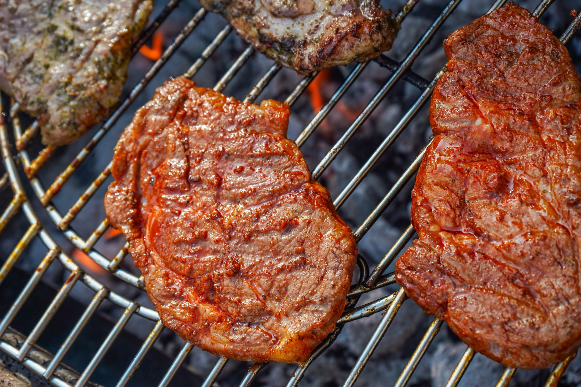 Can Dogs Eat Steak? What to Consider Before Sharing Meat With Your Pet