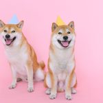 The History of Dog Domestication: How Wolves Became Human Companions 3 The History of Dog Domestication: How Wolves Became Human Companions