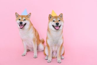 The History of Dog Domestication: How Wolves Became Human Companions 6 The History of Dog Domestication: How Wolves Became Human Companions