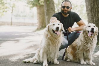 Choosing the Right Dog Breed for Your Lifestyle: A Practical Guide Before Getting a Pet 4 Choosing the Right Dog Breed for Your Lifestyle: A Practical Guide Before Getting a Pet