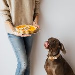 How Long Can a Dog Go Without Food? Understanding When It Becomes Dangerous