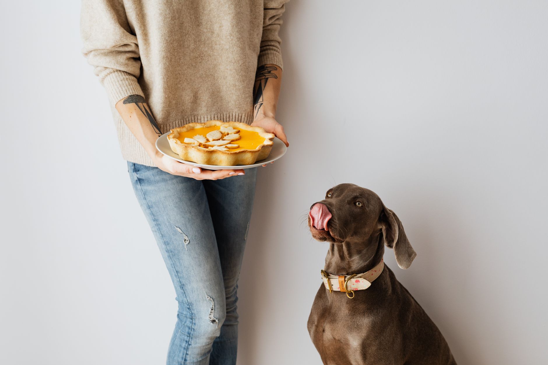 How Long Can a Dog Go Without Food? Understanding When It Becomes Dangerous