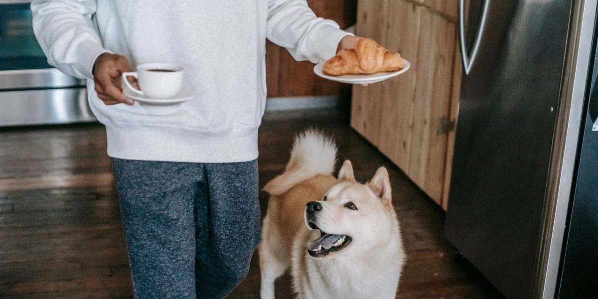 Human Foods That Can Harm Dogs: What Pet Owners Should Keep Away