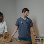 Why Your Dog Suddenly Stops Eating and What You Should Check First 3 Why Your Dog Suddenly Stops Eating and What You Should Check First