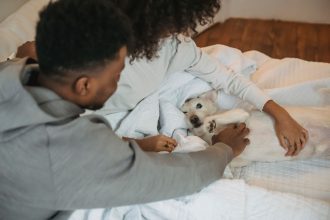 Where to Get a Dog: Understanding Your Options Before Bringing One Home 6 Where to Get a Dog: Understanding Your Options Before Bringing One Home
