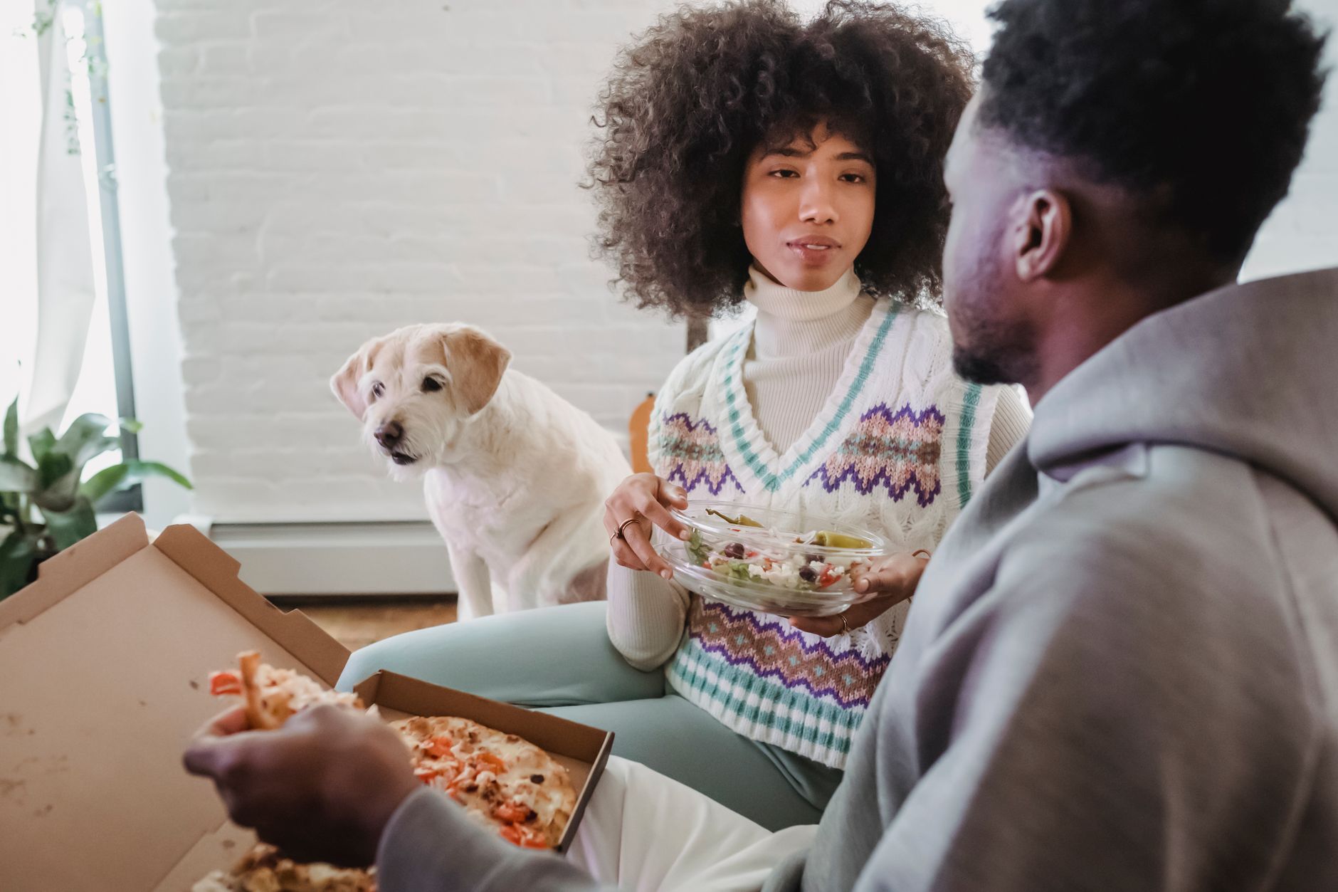 What Foods Can Dogs Eat? A Guide to Safe and Healthy Choices 21 What Foods Can Dogs Eat? A Guide to Safe and Healthy Choices