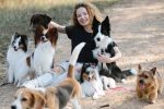 Finding Your Ideal Dog Companion: A Guide Based on Your Lifestyle 8 pexels photo 7210460 1