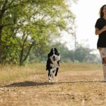 Choosing the Right Dog for Your Lifestyle: Which Companion Fits You Best? 3 Choosing the Right Dog for Your Lifestyle: Which Companion Fits You Best?