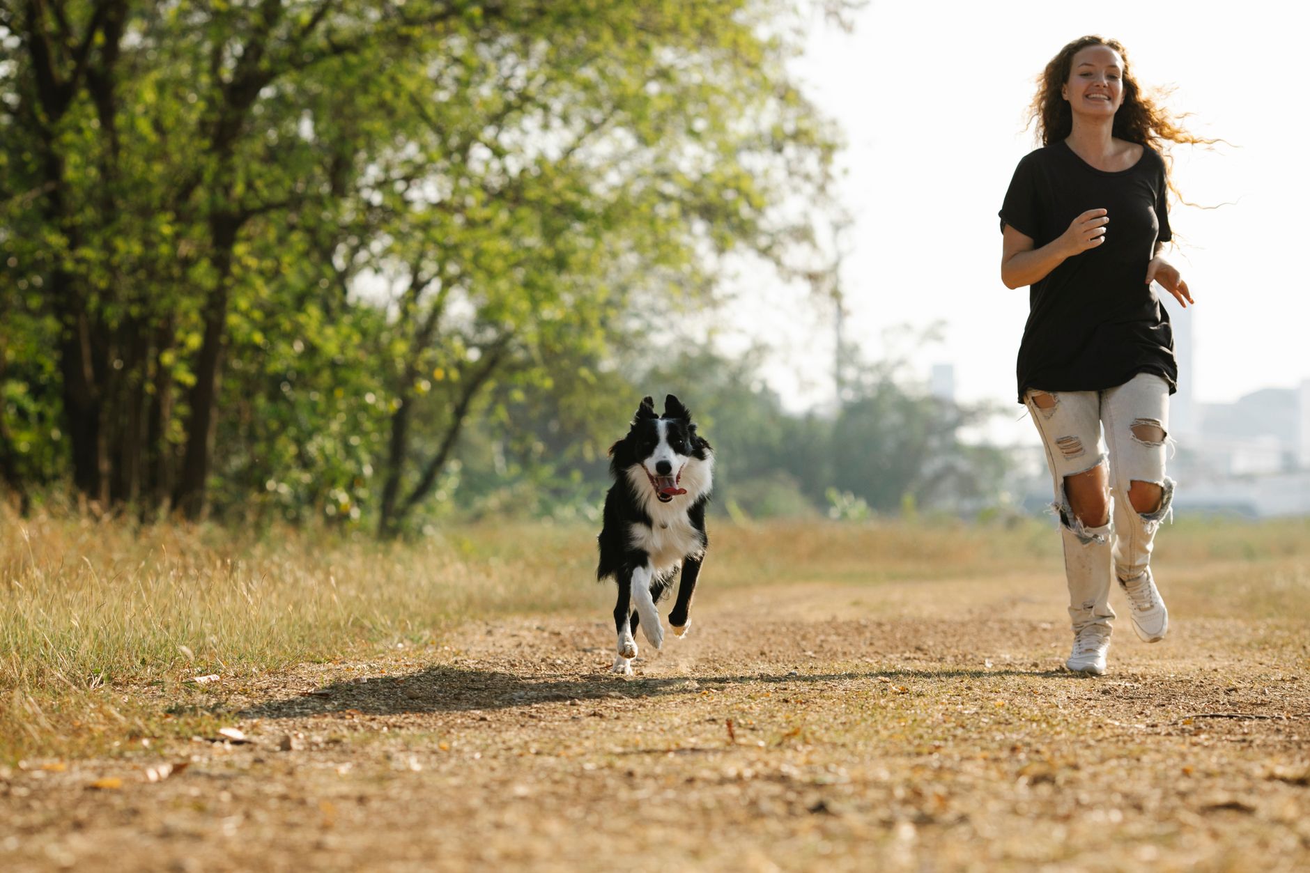 Choosing the Right Dog for Your Lifestyle: Which Companion Fits You Best?