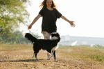 Why Having a Dog Can Improve Daily Life: Benefits Beyond Companionship 7 Why Having a Dog Can Improve Daily Life: Benefits Beyond Companionship