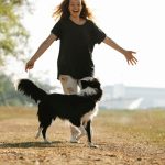 Why Having a Dog Can Improve Daily Life: Benefits Beyond Companionship 3 Why Having a Dog Can Improve Daily Life: Benefits Beyond Companionship