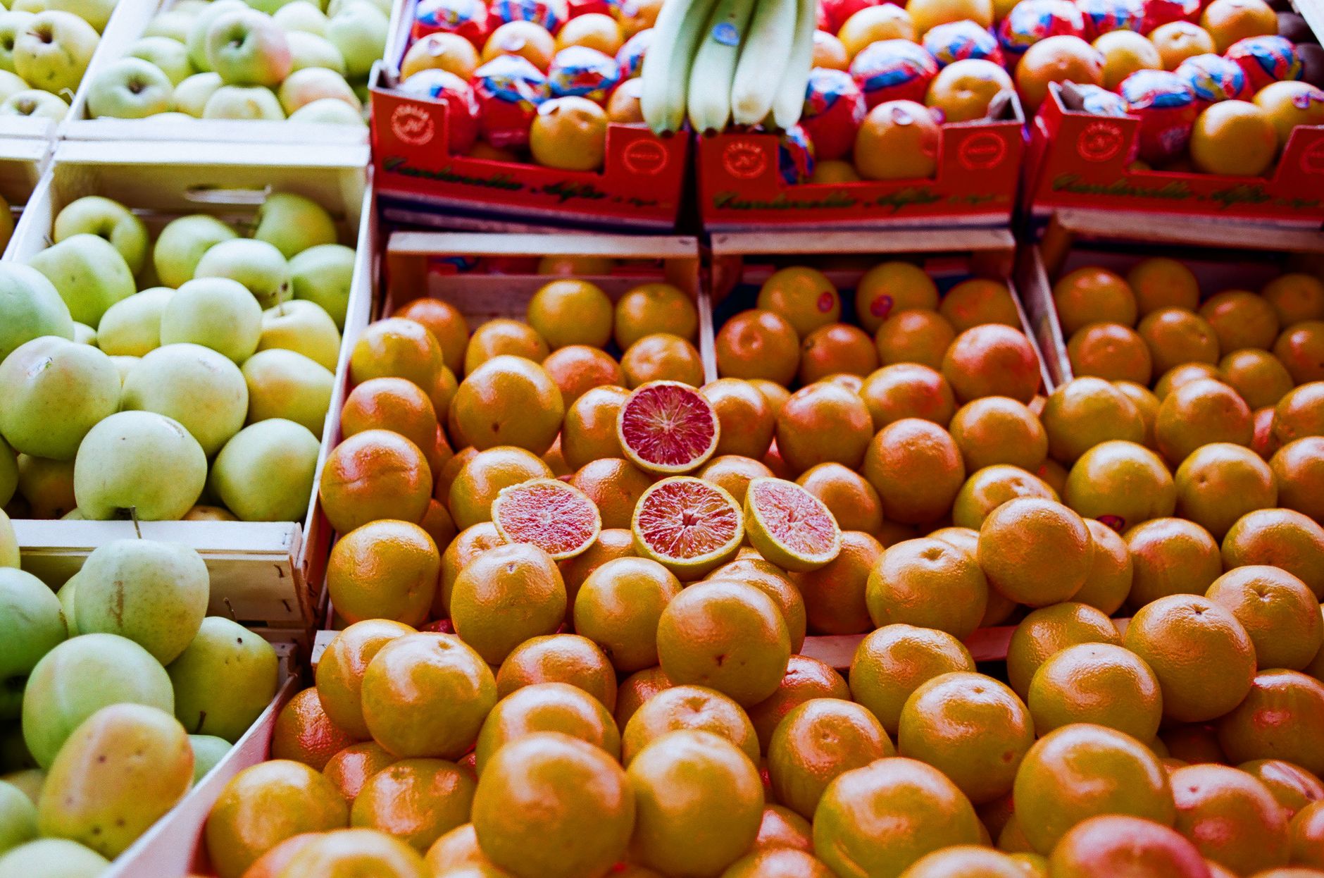 Can Dogs Eat Grapefruit? Why This Citrus Fruit May Not Be the Best Choice