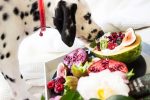 Fruits Dogs Should Avoid: A Guide to Unsafe Choices for Your Pet 7 Fruits Dogs Should Avoid: A Guide to Unsafe Choices for Your Pet