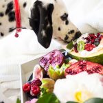 Fruits Dogs Should Avoid: A Guide to Unsafe Choices for Your Pet 3 Fruits Dogs Should Avoid: A Guide to Unsafe Choices for Your Pet