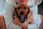 Practical Ways to Help an Overexcited Dog Become Calm and Relaxed