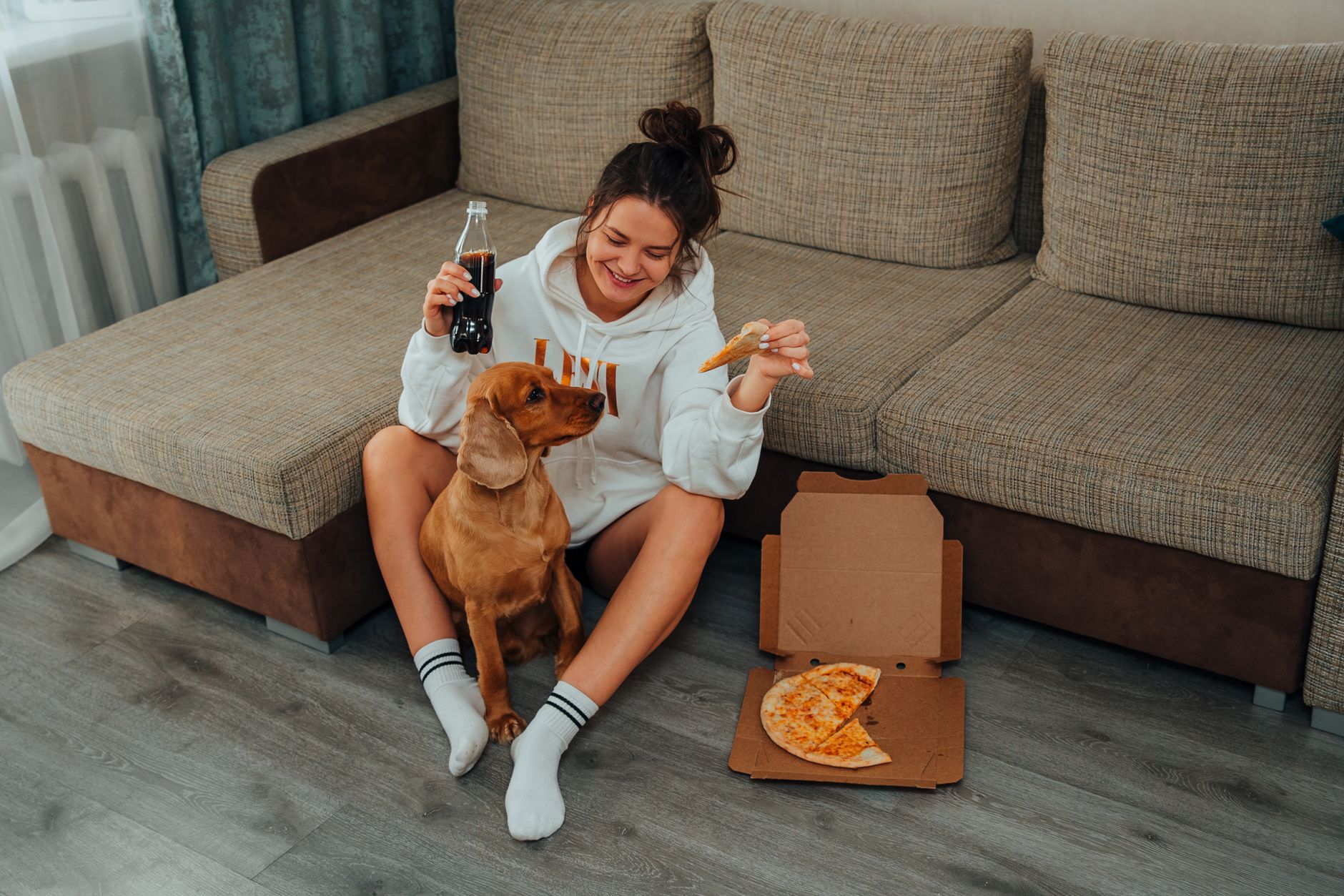 Foods Dogs Should Avoid: A Practical Guide to Dangerous Human Foods