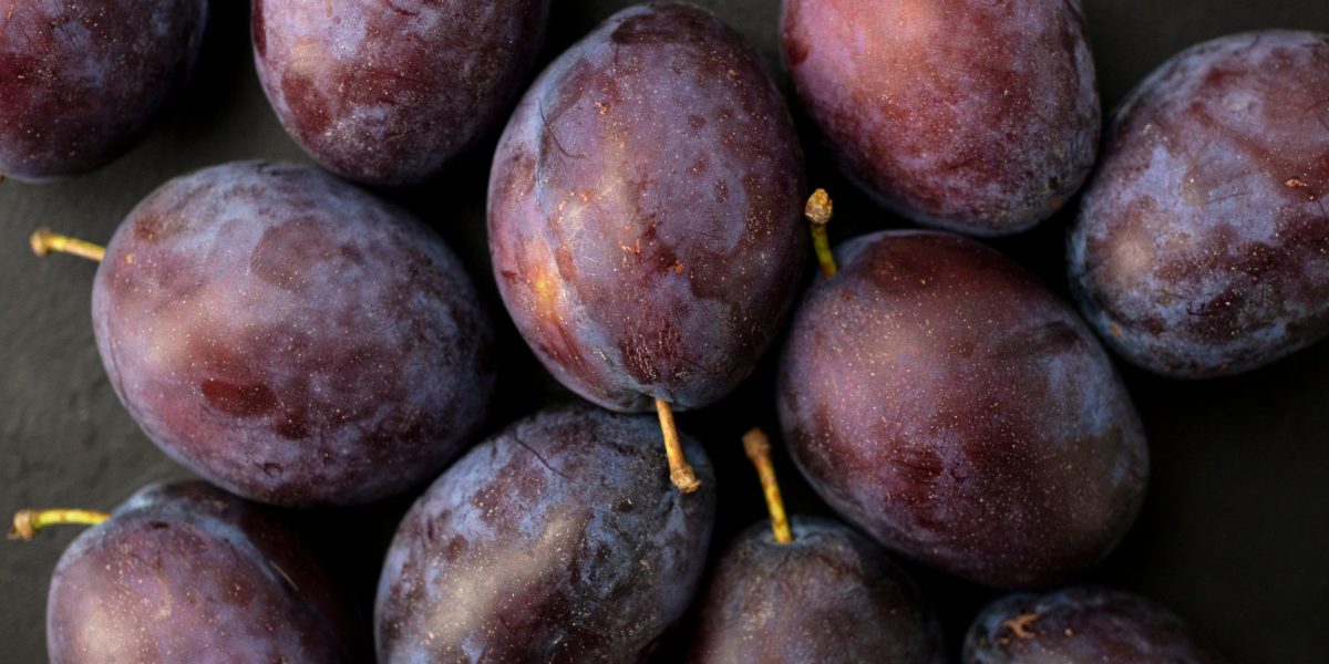 Can Dogs Eat Plums? Understanding the Risks Before Sharing This Fruit 1 Can Dogs Eat Plums? Understanding the Risks Before Sharing This Fruit
