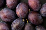 Can Dogs Eat Plums? Understanding the Risks Before Sharing This Fruit