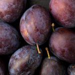 Can Dogs Eat Plums? Understanding the Risks Before Sharing This Fruit 3 Can Dogs Eat Plums? Understanding the Risks Before Sharing This Fruit