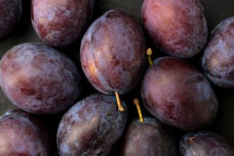 Can Dogs Eat Plums? Understanding the Risks Before Sharing This Fruit