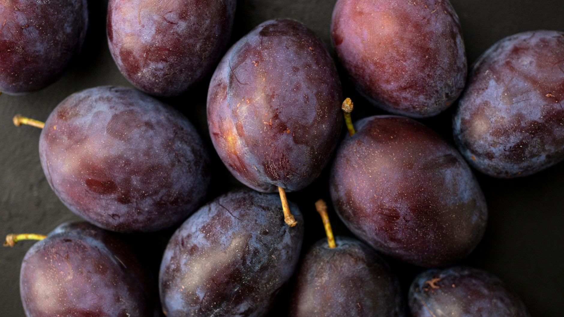 Can Dogs Eat Plums? Understanding the Risks Before Sharing This Fruit 1 Can Dogs Eat Plums? Understanding the Risks Before Sharing This Fruit