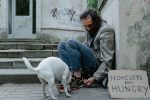 How Long Can a Dog Survive Without Eating? Understanding the Risks and Warning Signs