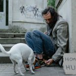 How Long Can a Dog Survive Without Eating? Understanding the Risks and Warning Signs 3 How Long Can a Dog Survive Without Eating? Understanding the Risks and Warning Signs