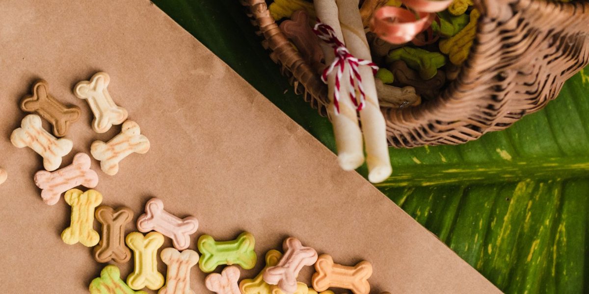 Dangerous Foods for Dogs: A Guide to Toxic Ingredients Pet Owners Should Avoid