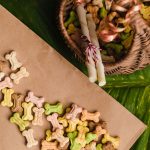 Dangerous Foods for Dogs: A Guide to Toxic Ingredients Pet Owners Should Avoid