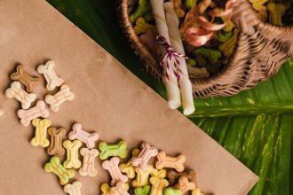 Dangerous Foods for Dogs: A Guide to Toxic Ingredients Pet Owners Should Avoid 4 Dangerous Foods for Dogs: A Guide to Toxic Ingredients Pet Owners Should Avoid